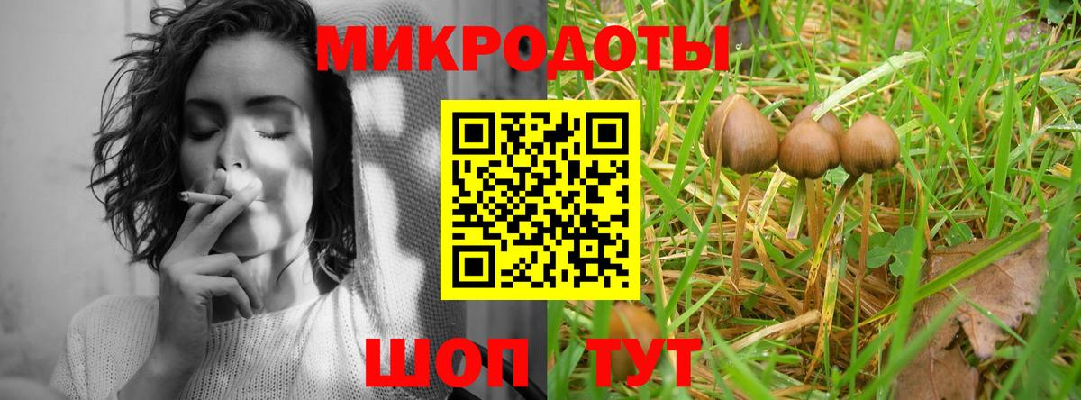 хочу наркоту  Галлюциногенные грибы Psilocybine cubensis  Вход с VPN  Майкоп 