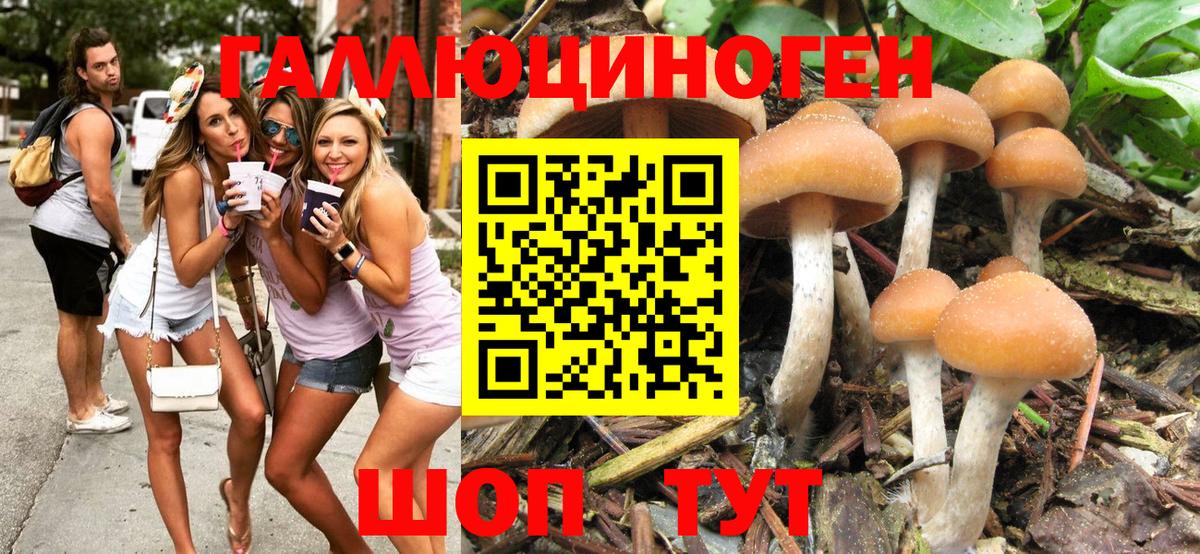 Галлюциногенные грибы мухоморы Майкоп
